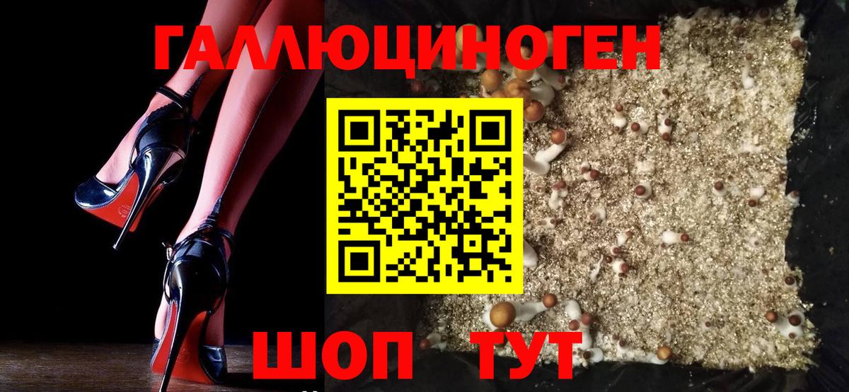 Галлюциногенные грибы мицелий Златоуст